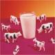 Organic Milk Healthier Than Regular Milk
